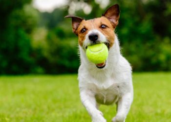 Comprehensive Gambling Proposal Fast-Tracked by Alabama Legislators