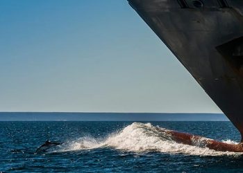 Cruise Line Faces Controversy Following Casino Player’s Suicide