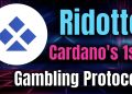 Interview with Ridotto – Cardano’s Innovative Gambling Protocol!