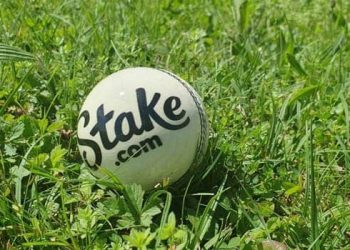 Stake Increases Investment in India as IPL Betting Skyrockets